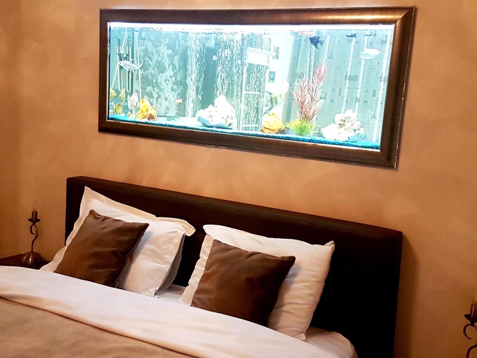 Magic Apartment براشوف المظهر الخارجي الصورة
