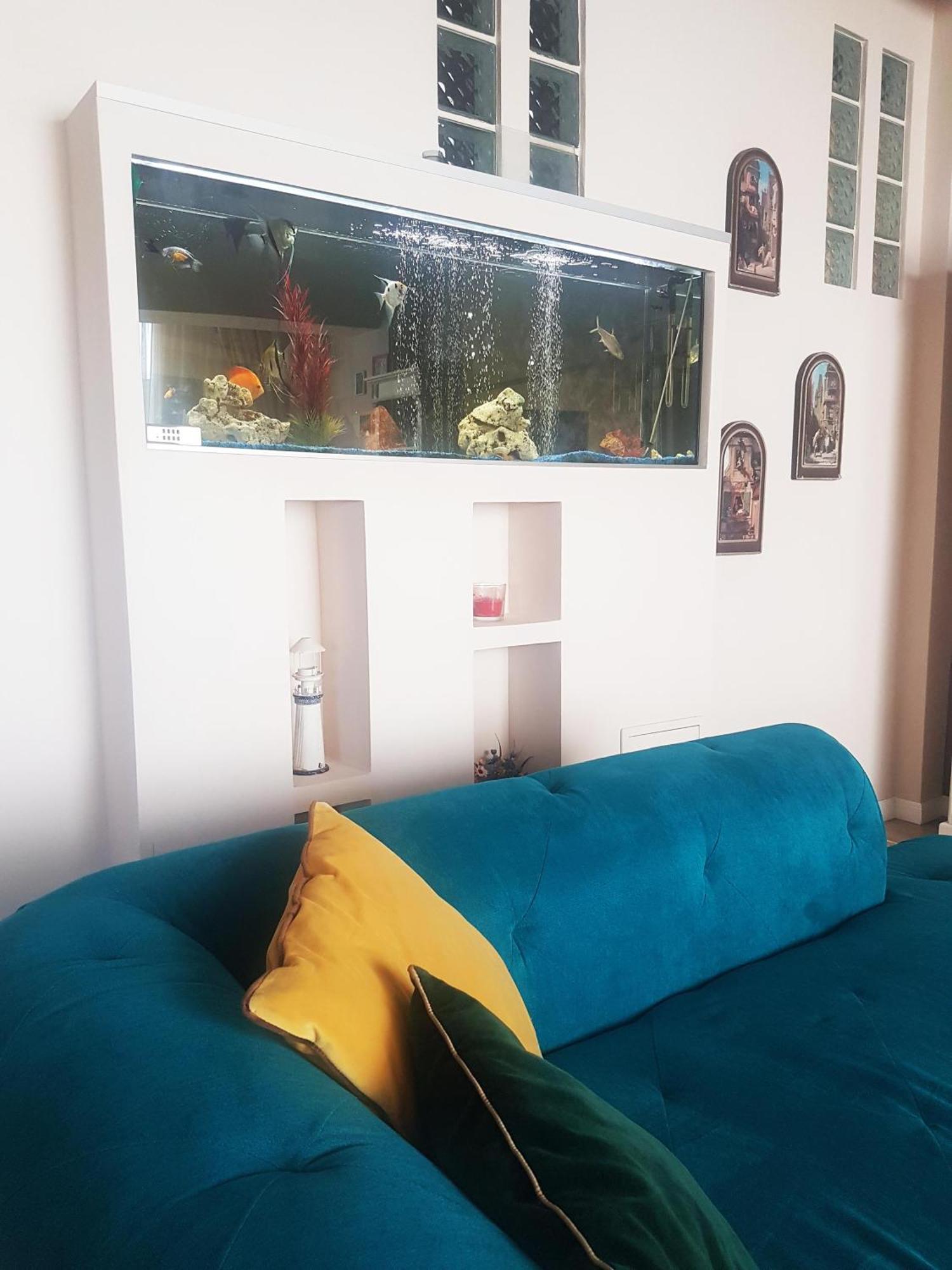 Magic Apartment براشوف المظهر الخارجي الصورة